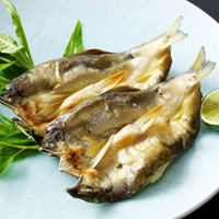 かます　一夜干し