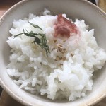 カフェアンドショップ ロータスランド - 2019/09/01
      おまかせセット 550円
      ・野菜かき揚げ
      ・ナス南蛮
      ・卵焼
      ・キュウリのさっぱり和え
      ・フレッシュサラダ
      ・ご飯、味噌汁