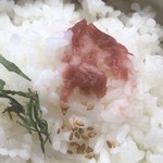 カフェアンドショップ ロータスランド - 2019/09/01
      おまかせセット 550円
      ・野菜かき揚げ
      ・ナス南蛮
      ・卵焼
      ・キュウリのさっぱり和え
      ・フレッシュサラダ
      ・ご飯、味噌汁