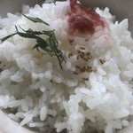 カフェアンドショップ ロータスランド - 2019/09/01
      おまかせセット 550円
      ・野菜かき揚げ
      ・ナス南蛮
      ・卵焼
      ・キュウリのさっぱり和え
      ・フレッシュサラダ
      ・ご飯、味噌汁