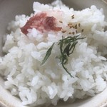 カフェアンドショップ ロータスランド - 2019/09/01
      おまかせセット 550円
      ・野菜かき揚げ
      ・ナス南蛮
      ・卵焼
      ・キュウリのさっぱり和え
      ・フレッシュサラダ
      ・ご飯、味噌汁