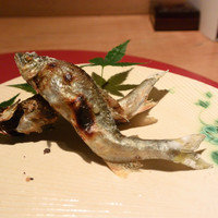 むぎとろ・日本料理 黒やなぎ - 鮎の塩焼き（京都産）