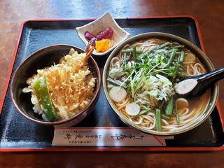 Wafuu Shokudou Sarashina - ミニ天丼と山菜そばセット 980円