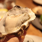 FAST OYSTERS - 