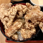 Karaage Hitosuji - 