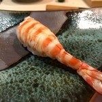 鮨 波づき - 肉厚な車海老