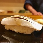 鮨 竜介 - 2019.7.  小鰭