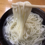 釜揚げうどん 戸隠 - 麺のアップです。（2019.8 byジプシーくん）