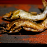 銀座 しのはら - あゆ