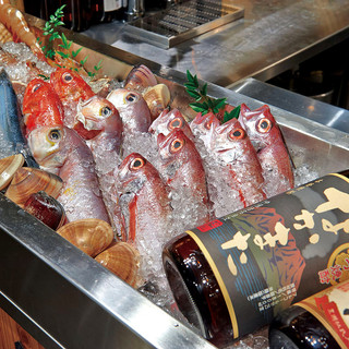 漁港・市場から直送される鮮魚は味・食感が違います