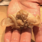 紀尾井町 三谷 - 煮ハマグリ