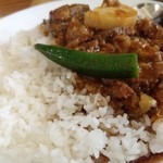 カリー＆ワイン ビストロべっぴん舎 お茶の水店 - ビーフカシミールカレー。