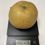 米井梨園 - 幸水の計量