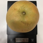 米井梨園 - 幸水の計量