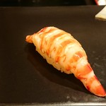 鮨 竜介 - 車海老