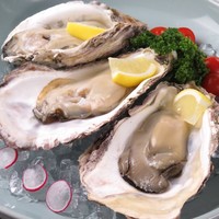 コース一覧 Oyster Garden 牡蠣と野菜とワイン 大阪梅田 阪急 オイスターバー 食べログ