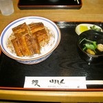 鰻はましん - うな丼