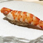 すし松風 - 車エビ