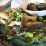 旅人カフェ ぐりーちね - サワラとしめじのバター醤油ソテー