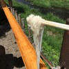 昇仙峡 渓流 流しそうめん・ほうとう 円右衛門
