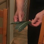 裕の輪 - 黒キャベツ見せてもらいました