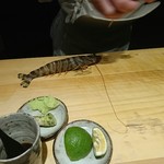 すし幸徳 - これじゃなかなか伝わらないかな～