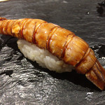 晶 - 7貫目 岡山産　シャコ