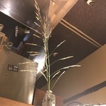 ぼちぼちいこか - ぼちぼちいこか 内観