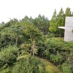 瀬戸内リトリート 青凪 - テラスからの眺め