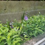 瀬戸内リトリート 青凪 - 本館と別館を結ぶ通路