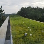 瀬戸内リトリート 青凪 - 