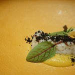 SEBRI - 鱸のグリル