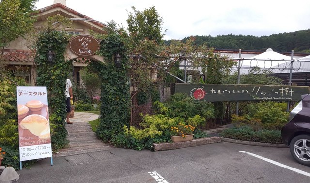 蓼科高原チーズケーキ工房 茅野 ケーキ 食べログ 蓼科高原チーズケーキ工房 茅野 ケーキ 食べログ
