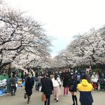 竹隆庵 岡埜 松坂屋上野店 - 上野の山は花盛り
