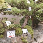 あつた蓬莱軒 - 