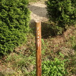 タルタニアン - ドッグのボー