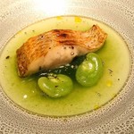 イル アオヤマ - 