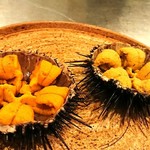 イル アオヤマ - 