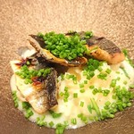 イル アオヤマ - 