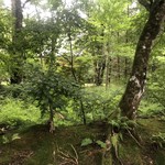 Kyukaruizawa Cafe Suzunone