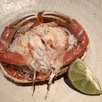 ろっかん - せいこがに