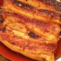 吉寅 - 