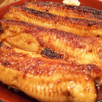 吉寅 - 