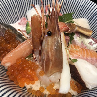 魚竹 - 