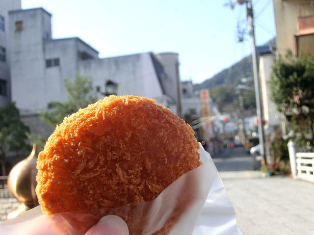 Hiraoka Seiniku Ten, nakatadogunkotohirachou, Japan