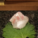 鮓 きずな - 垂水・鯛