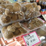 橋本かしわ店 - 