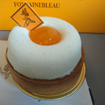 フレデリック カッセル 銀座三越店 - タルトアプリコ・ジャスマン②