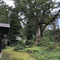 欅苑 - 