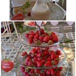 アンカーズラウンジ - ゆめのか苺です